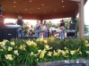 Starwood Band Performing at Music in the Park